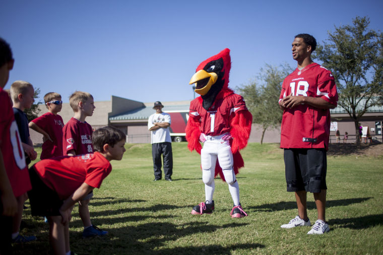 Cardinals at Horizon
